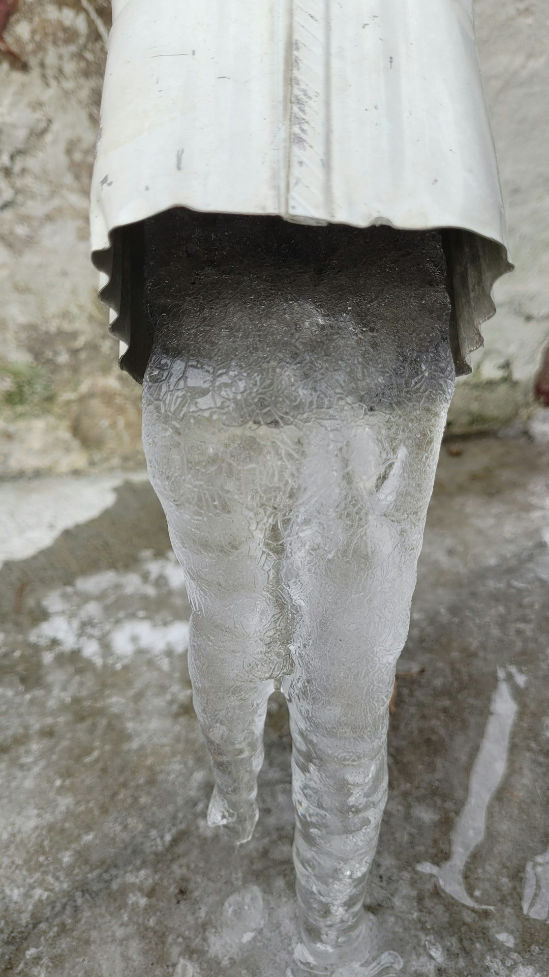 Close up of the texture of ice, emerging like a snake tongue from a gutter drain pipe.
